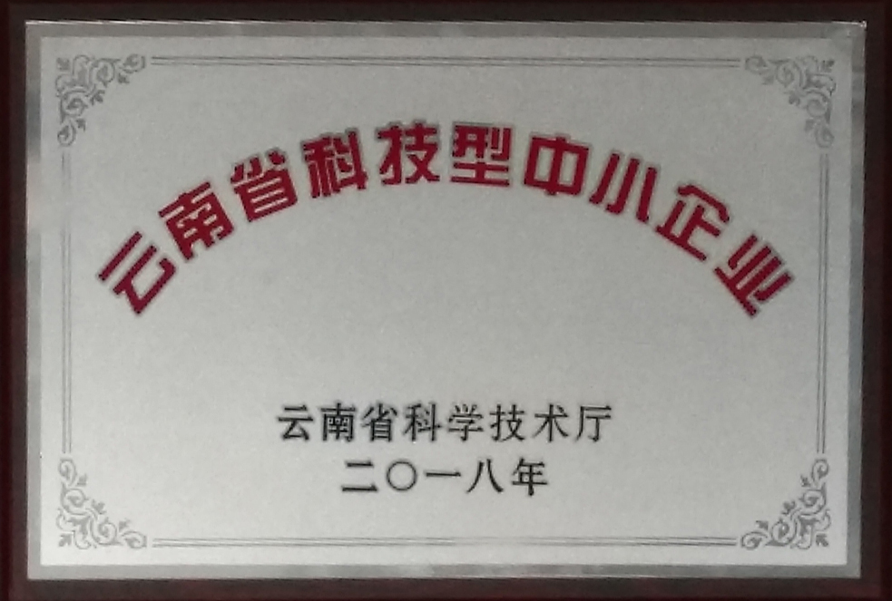 云南省科技型中小企業